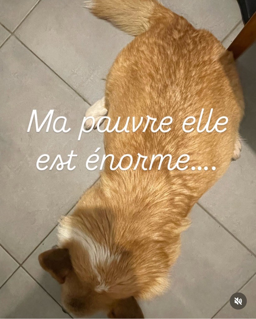 1 portée