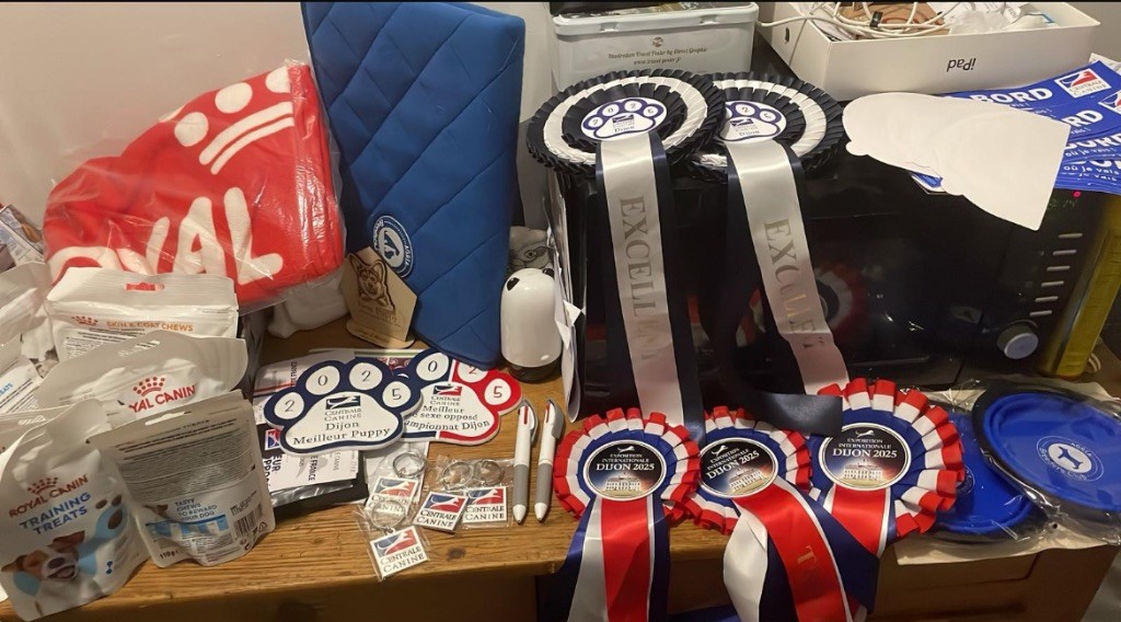Championnat de France